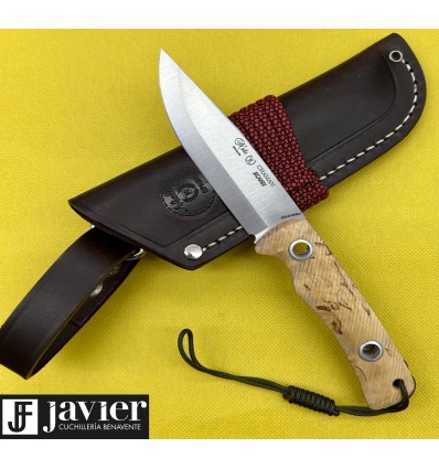 Exclusivo Chaman Scandi Abedul Nieto