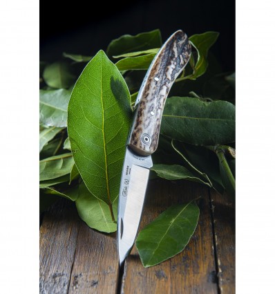 Navaja Work Ciervo Nieto